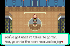 You can input them with the gameshark or in the cheats section of your . Pokemon Emerald - Update 73